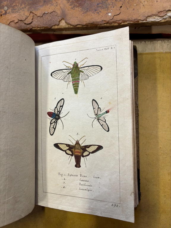 Special collections of the University of Lodz Library