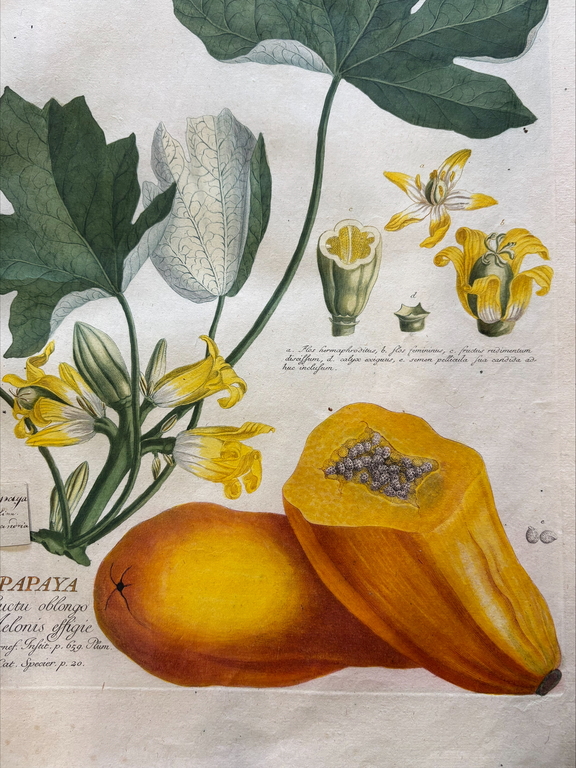 Special collections of the University of Lodz Library