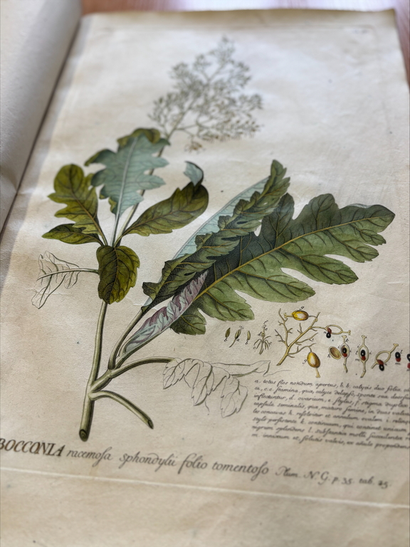 Special collections of the University of Lodz Library