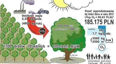 Rys. Wartość pieniężna tlenu produkowanego przez stare drzewa Źródło: J. Hereźniak, „Drzewo to życie – chrońmy stare drzewa”, [plansza dydaktyczna] Wydział Biologii i Ochrony Środowiska UŁ