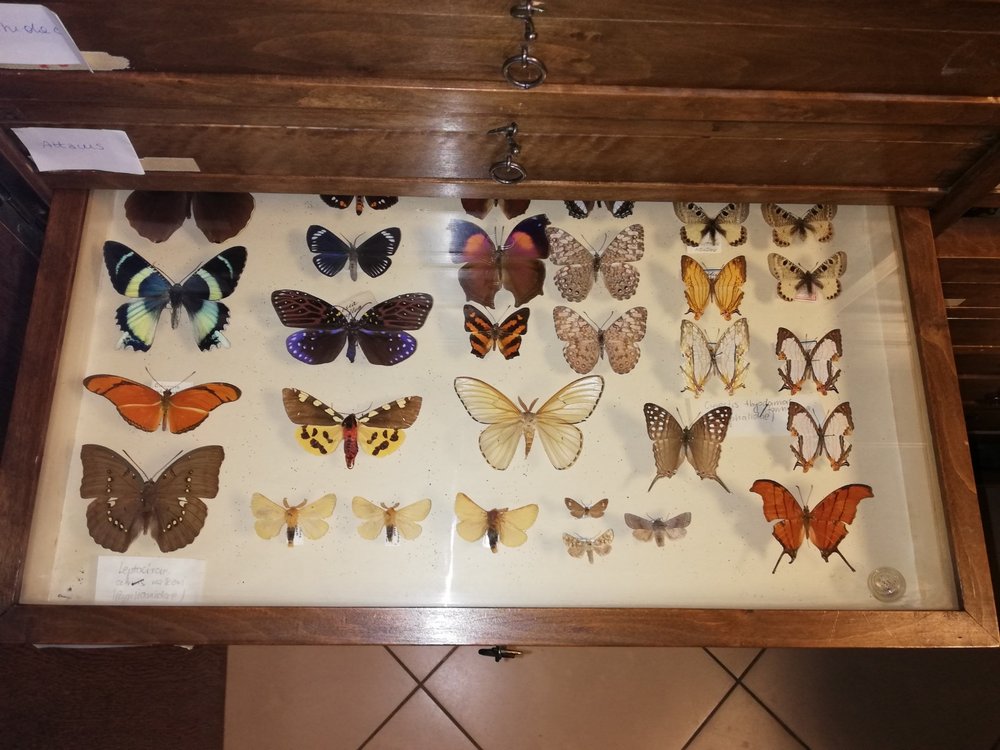 [Translate to English:] 4