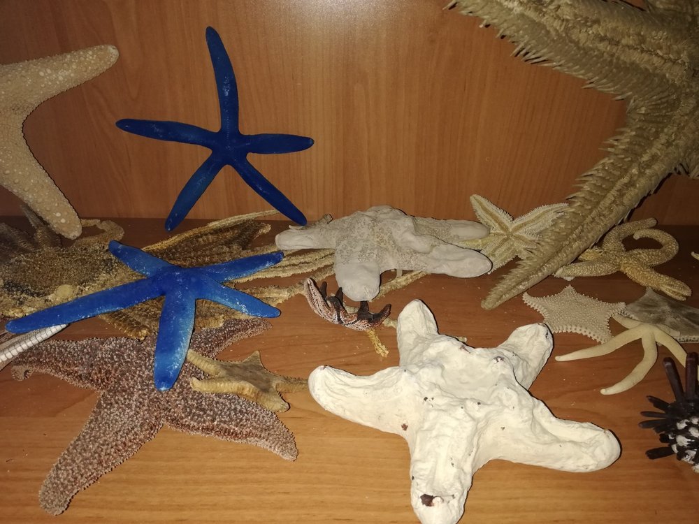 [Translate to English:] 1