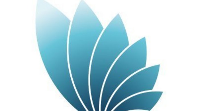 EU Cyber Direct logo