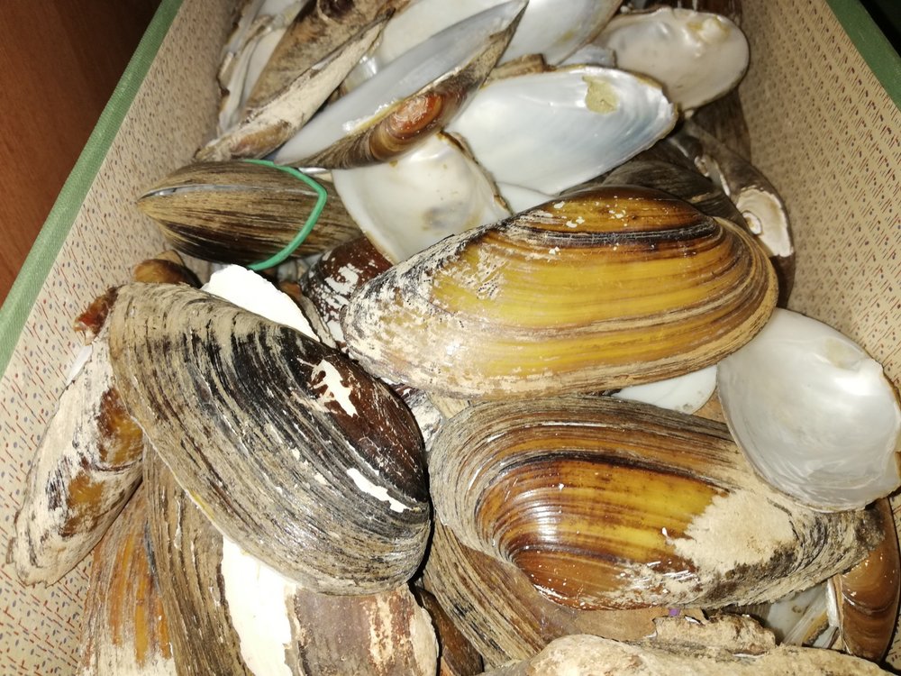 [Translate to English:] 3