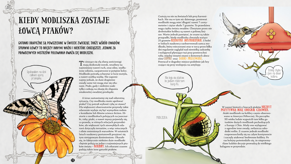 Strona jednej z książek dla dzieci o owadach, widoczna modliszka