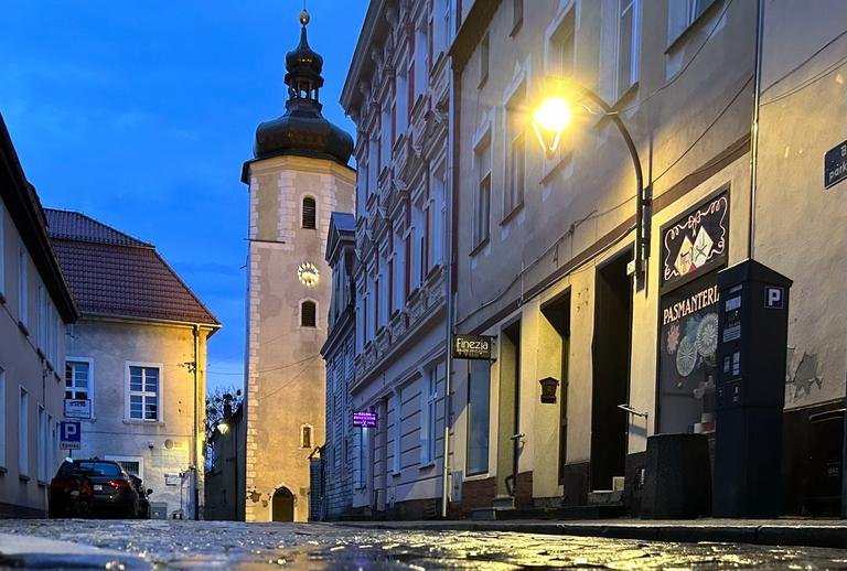 badania terenowe w projekcie