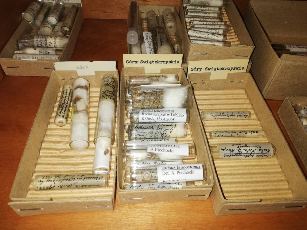 [Translate to English:] 1