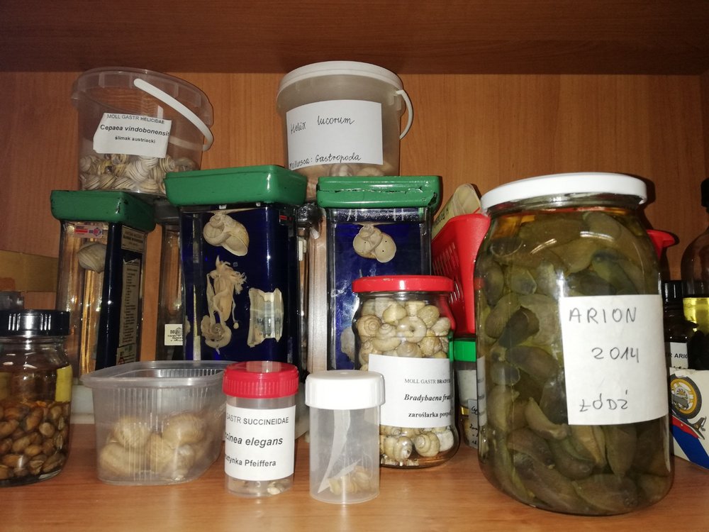 [Translate to English:] 3