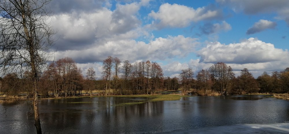 Rozlewiska rzeki Grabi 