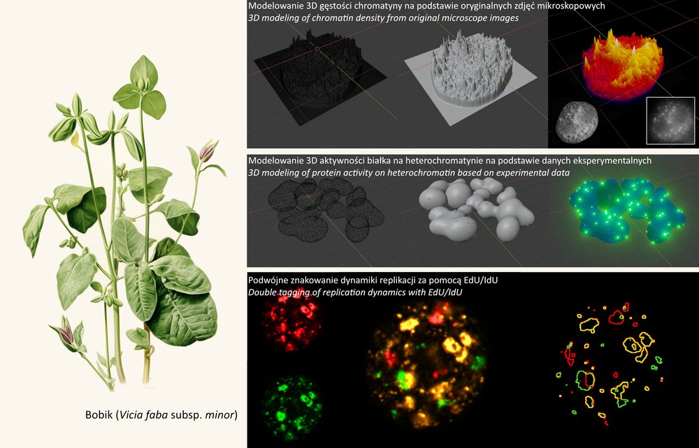 [Translate to English:] foto